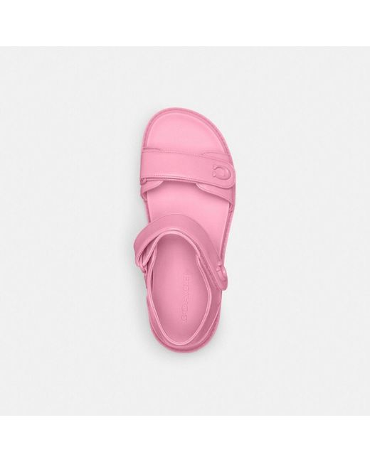 COACH Pink Brynn Sandal