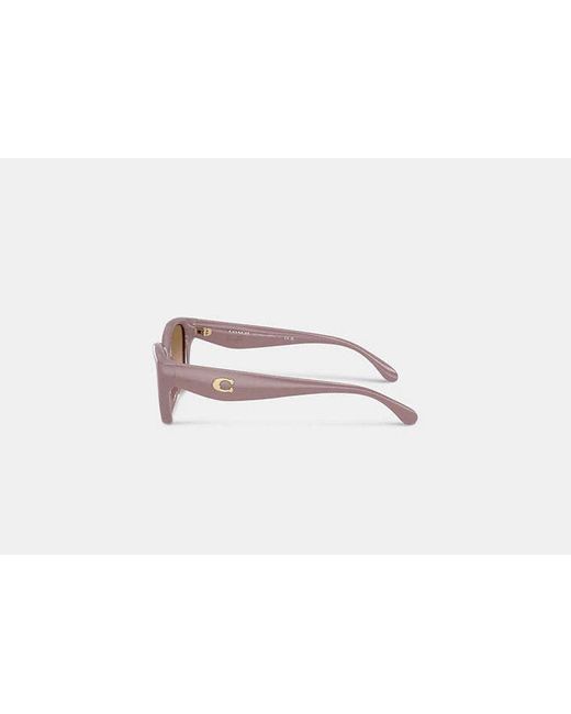 COACH Black C Hardware Square Cat Eye Sunglasses