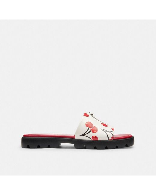 コーチ Florence Sandal With Cherry Print COACH Women's Florence Cherry Print Sandals - Macy's