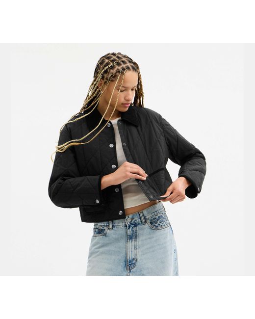 Giacca Trapuntata Con Colletto di COACH in Black