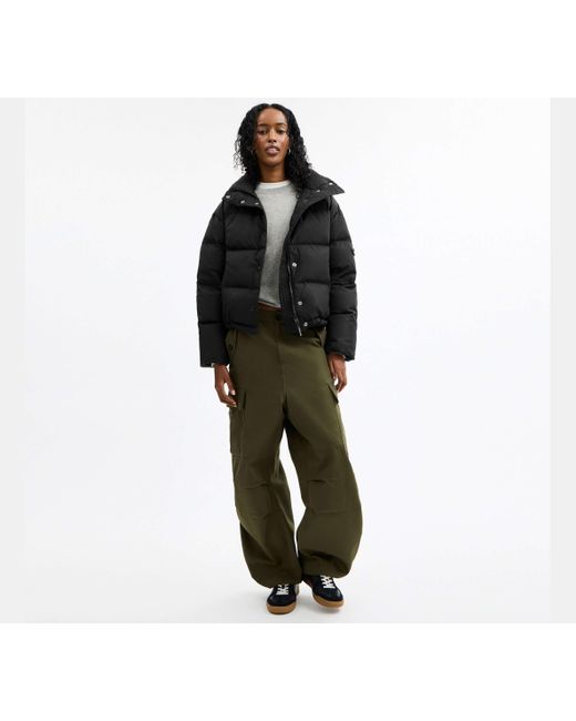 COACH Black Short Puffer Jacket