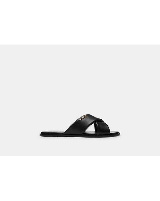 COACH Black Link Criss Cross Slide