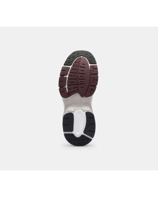 Scarpa Da Ginnastica di COACH in Black