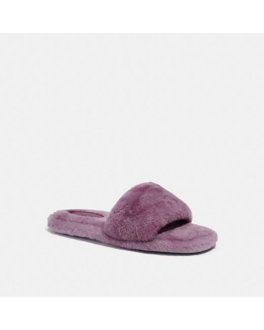 COACH Purple Blaire Slipper