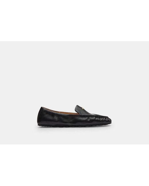 COACH Black Phoebe Soft Loafer