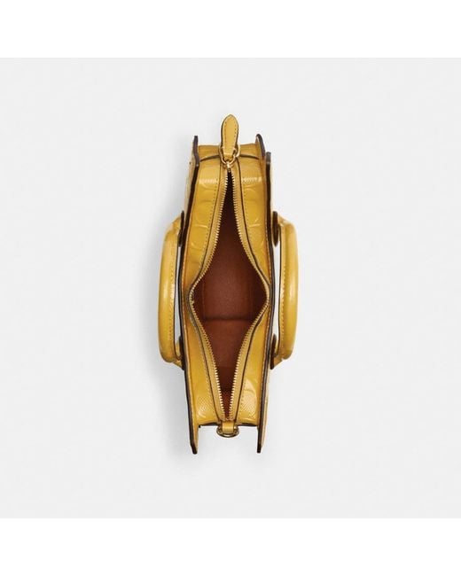 Coach banana online bag