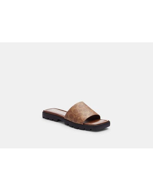 COACH Black Florence Sandal - Brown, Size 7.5 | Coated Canvas