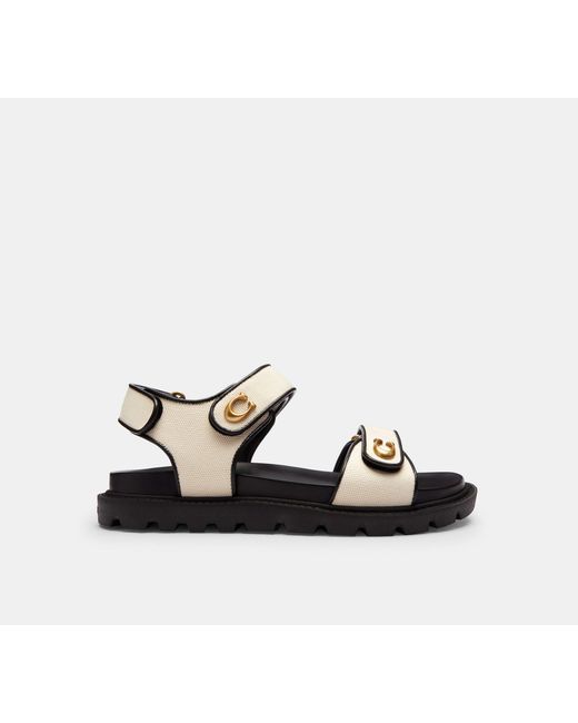 COACH Black Brynn Sandal