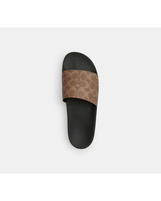 Slide di COACH in Black da Uomo