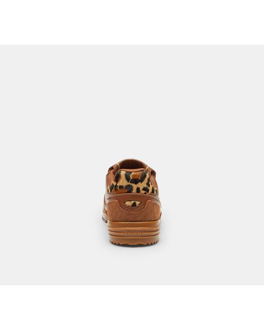 COACH Brown Match Sneaker With Leopard Print