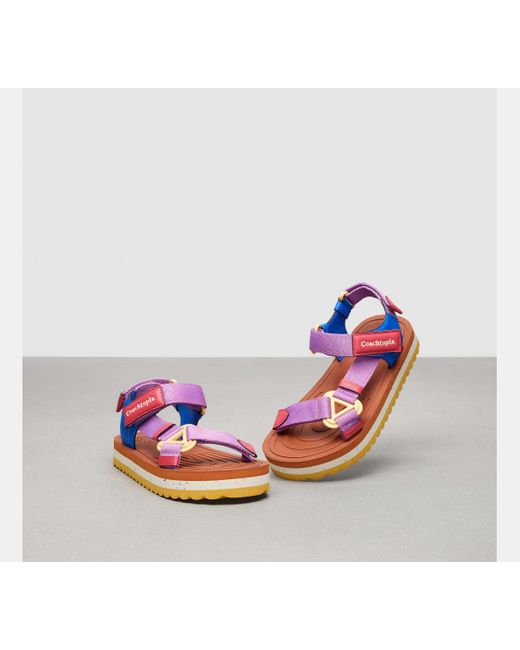 COACH Multicolor Strappy Sandal