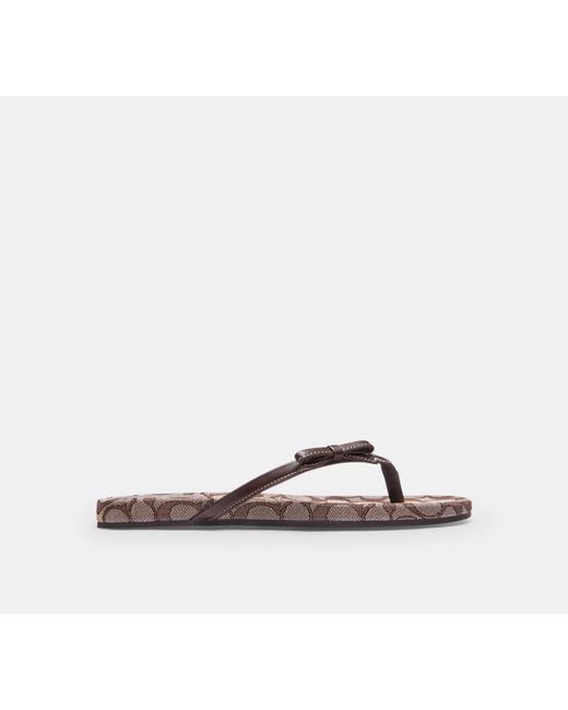COACH Black Bow Flip Flop