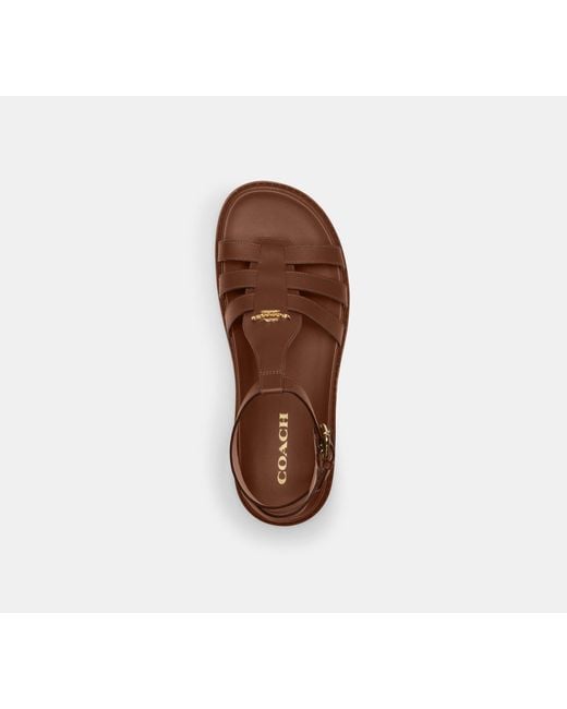 COACH Black Franny Sandal