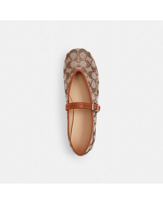 COACH Brown Mary Jane In Crystal Signature Jacquard