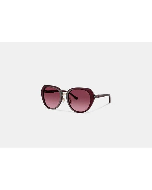 COACH Black Maxi C Oversized Round Sunglasses