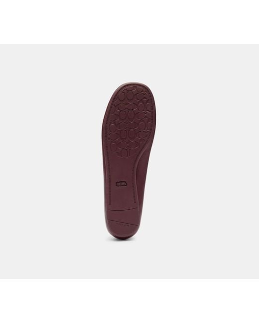 COACH Brown Ballet Flats 'Houston'