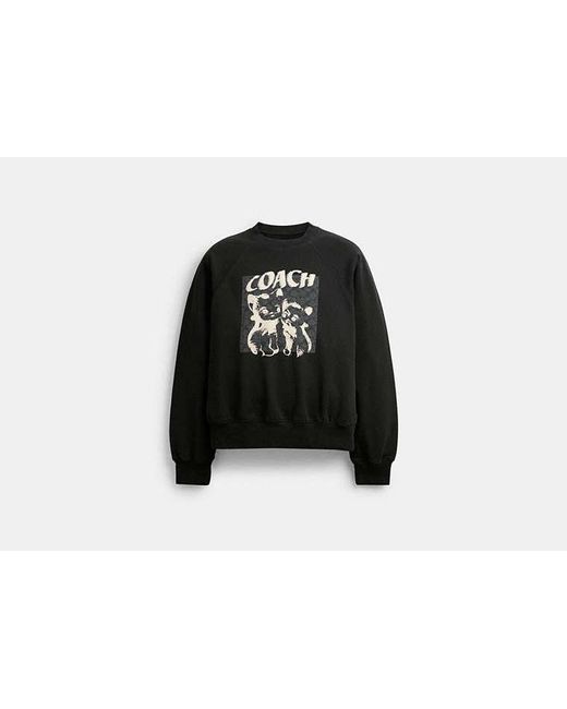 COACH Black The Lil Nas X Drop Signature Cats Crewneck Sweatshirt