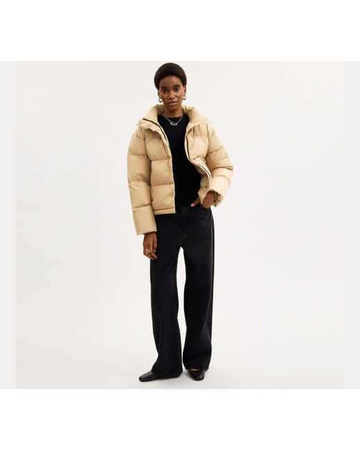 Chaqueta Acolchada Corta COACH de color Natural