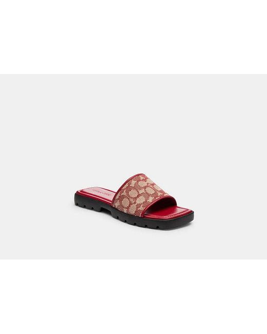 COACH Florence Sandals in Red | Lyst UK