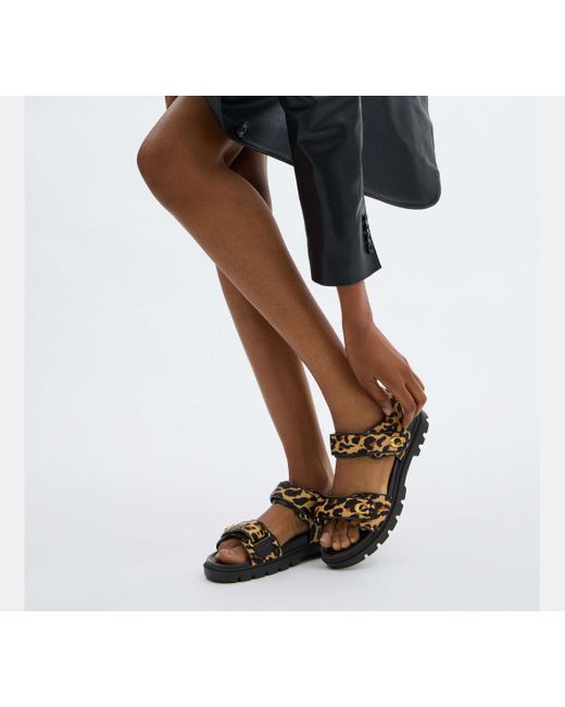 COACH Black Brynn Sandal Print Flat
