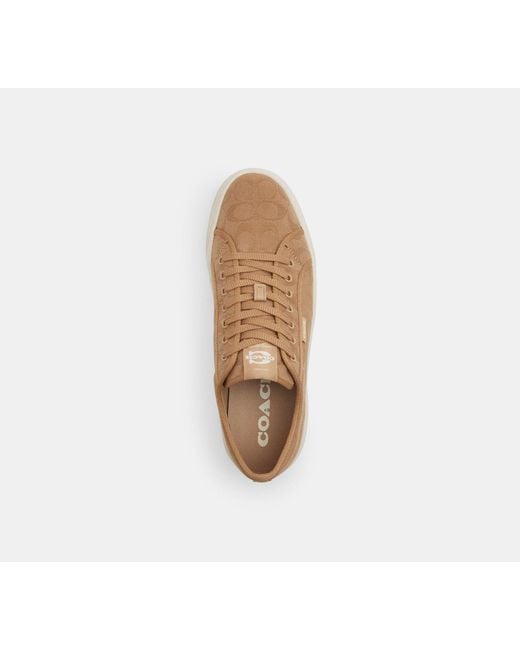 COACH Black Canvas Sneaker for men