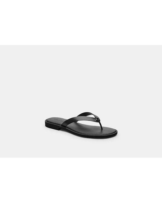 COACH Black Brianna Flip Flop Flat Sandals