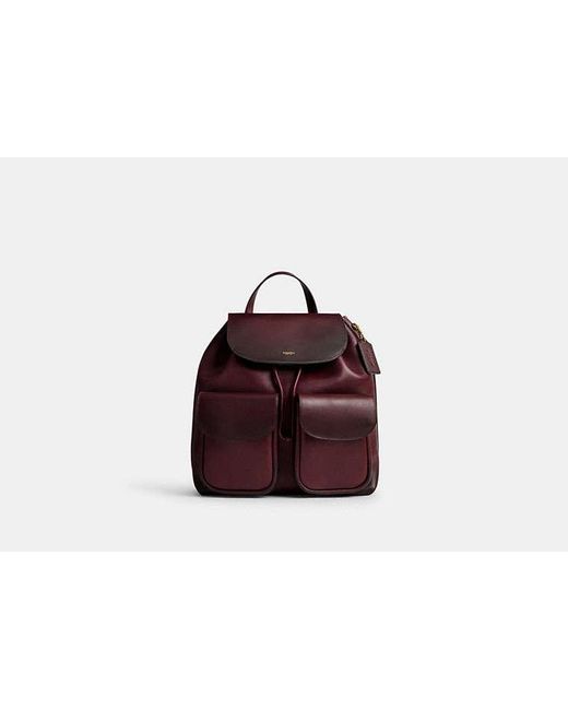 COACH Brown Crosby Backpack