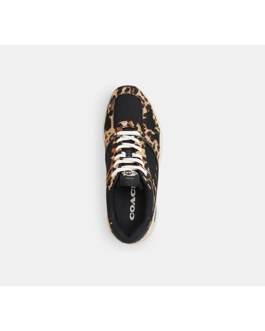Scarpa Da Ginnastica Sport Con Stampa Leopardata di COACH in Black