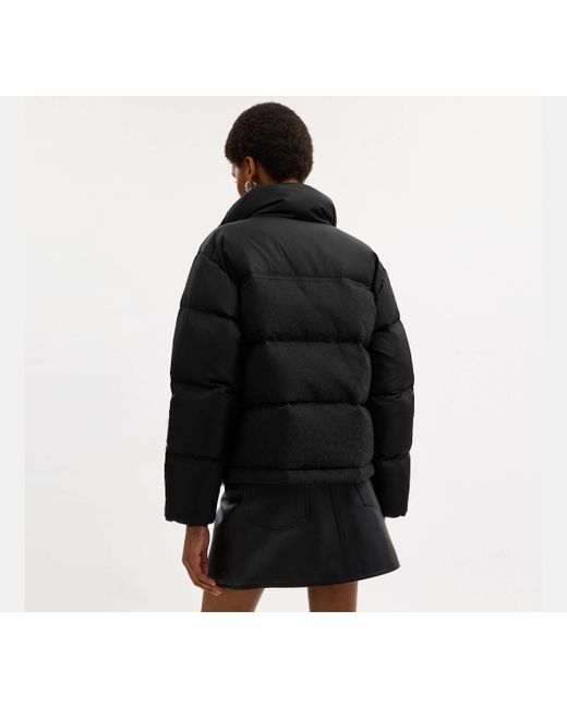 Chaqueta De Plumón De Firma COACH de color Black