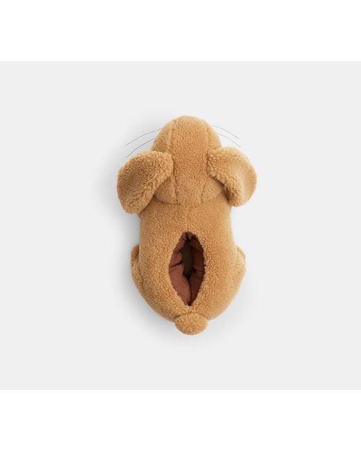 COACH Black Bunny Slipper