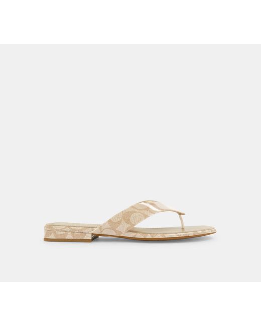 COACH Black Bridgette Sandal