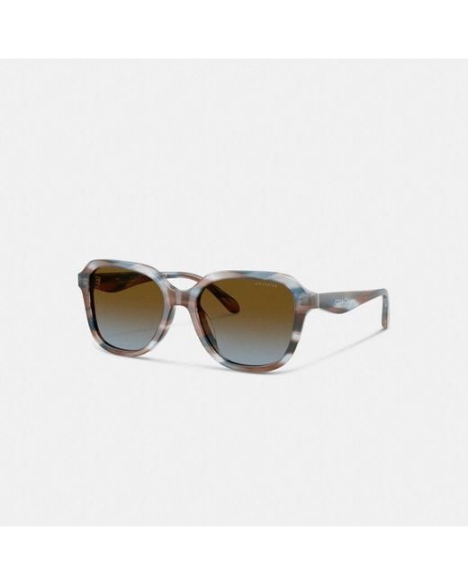 COACH Multicolor Oval Square Sunglasses
