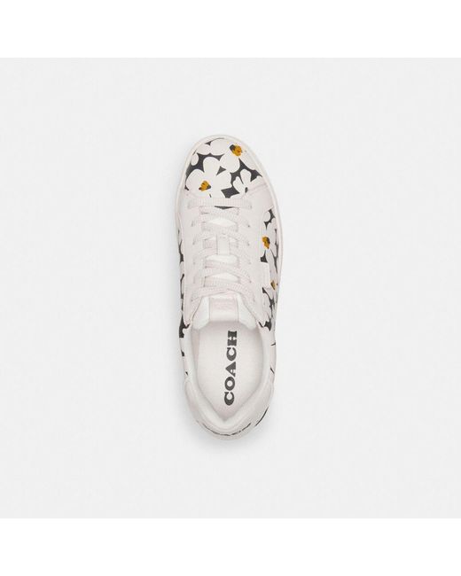 COACH White Lowline Low Top Sneaker With Floral Print