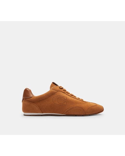 COACH Brown Flache Sneaker