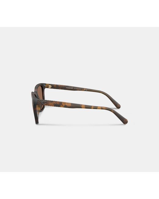 COACH Black C Hardware Textured Temple Sunglasses for men