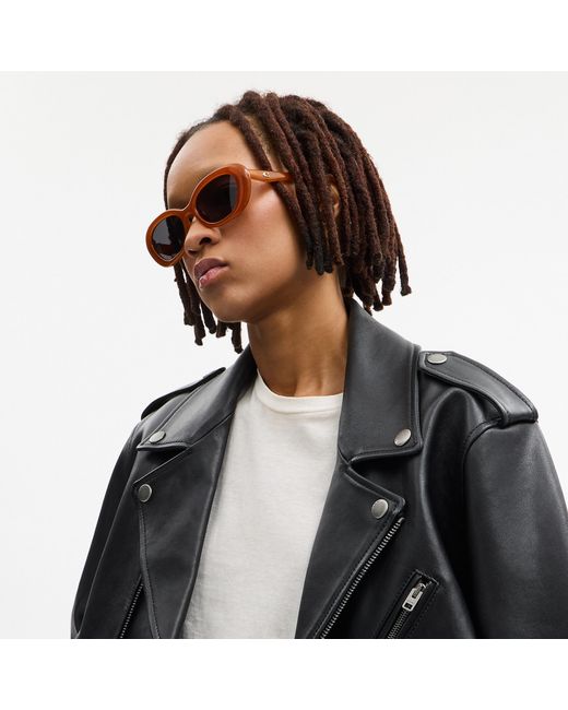 COACH Brown C Hardware Round Sunglasses