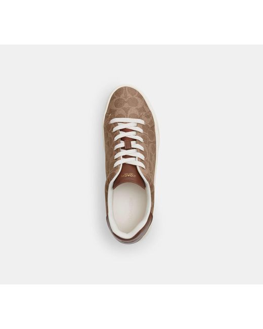 COACH Black High Line Sneaker