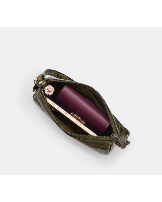 Nolita 19 Con Stampa Serpente di COACH in Black