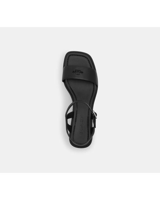 COACH Black Gale Wedge Sandal