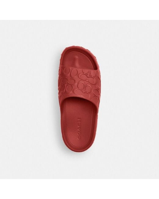 COACH Red Bay Slide for men