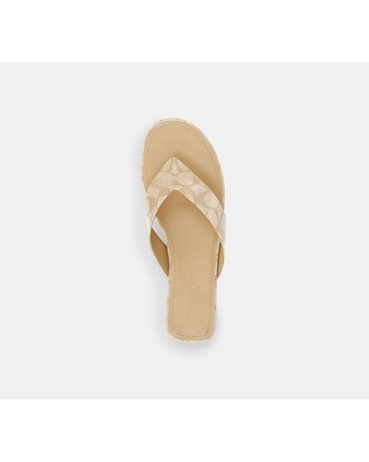 COACH Black Bridgette Sandal