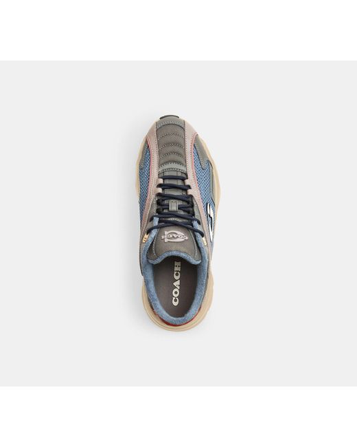 COACH Black Bolt Runner Sneaker