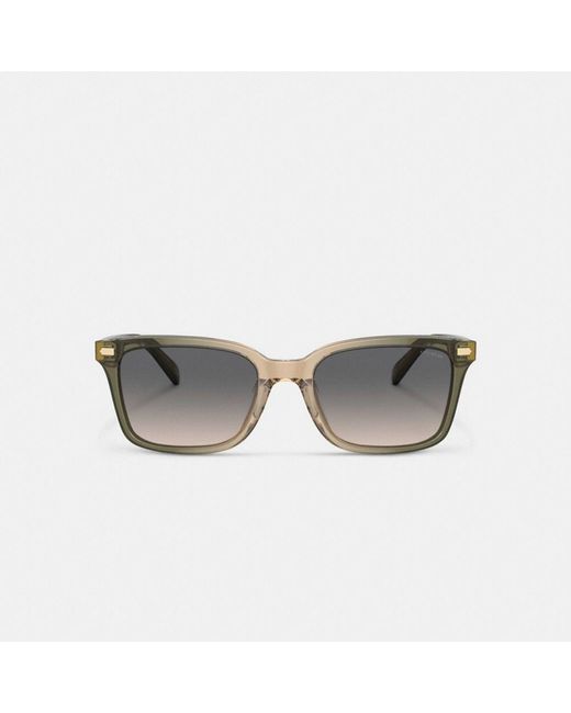 COACH Multicolor Narrow Square Sunglasses for men