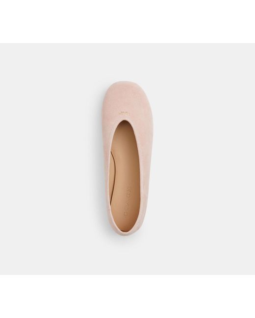 COACH Black Houston Ballet Flat
