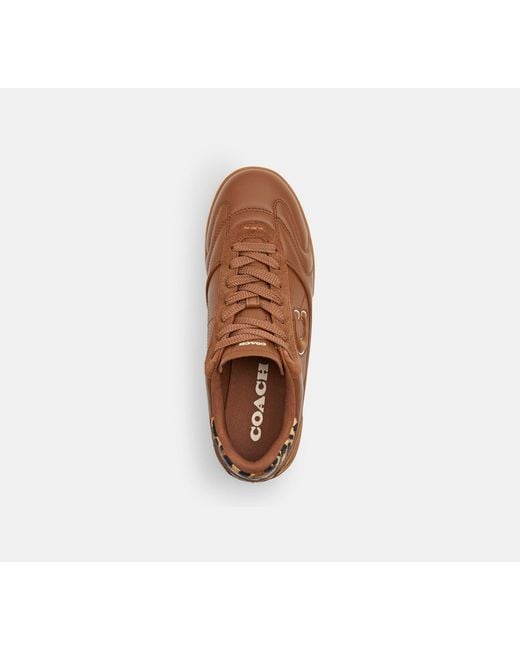 COACH Brown Match Sneaker With Leopard Print