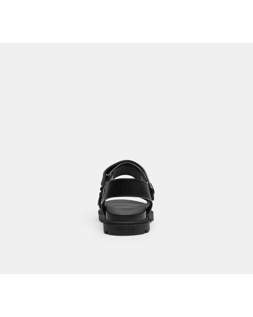 COACH Black 'Brynn' Sandals