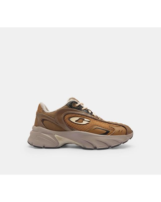COACH Black Bolt Runner Sneaker