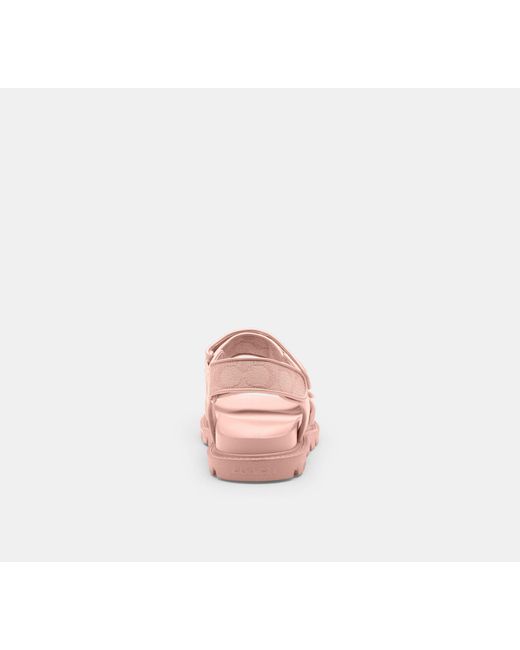 COACH Black Brynn Sandal