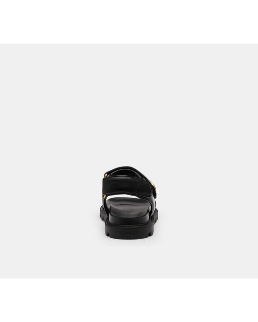 COACH Black Brynn Sandal