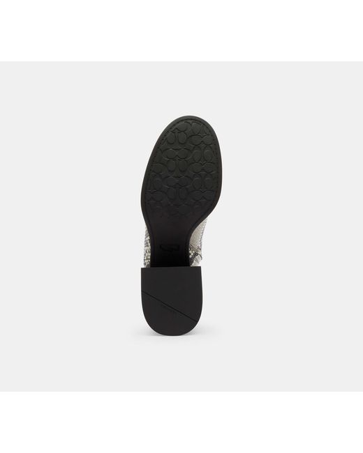 COACH Black Block Heel Boot With Snake Print